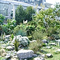上海植物園 015-1.jpg