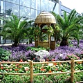 上海植物園 018-1.jpg