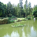 上海植物園 020-1.jpg