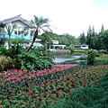 上海植物園 025-1.jpg