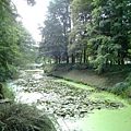 上海植物園 026-1.jpg