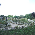 上海植物園 031-1.jpg
