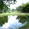 上海植物園 032-1.jpg