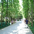 上海植物園 037-1.jpg