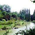 上海植物園 040-1.jpg