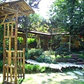 上海植物園 042-2.jpg