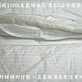 頂級蠶絲被芯