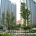 上海行館的中庭花園