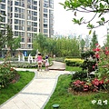 中庭噴水池
