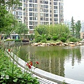 中庭花園水池