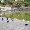 奈良景點2.JPG