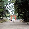 奈良景點22.JPG