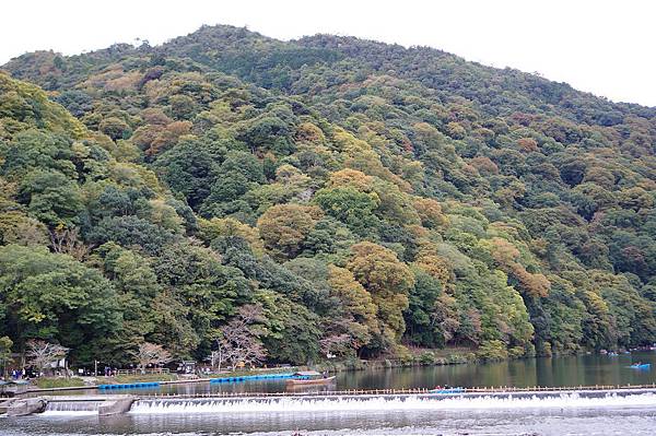 京都嵐山_渡月橋.jpg