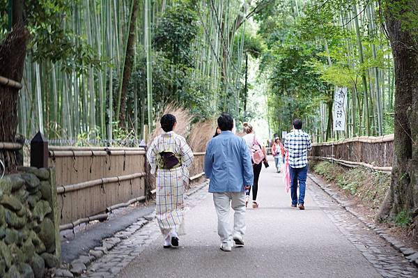 京都嵐山_竹林.jpg