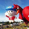 台東熱氣球2.jpg