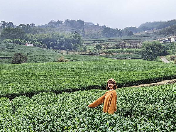 阿里山景點1.jpg