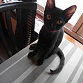 SAM_6264