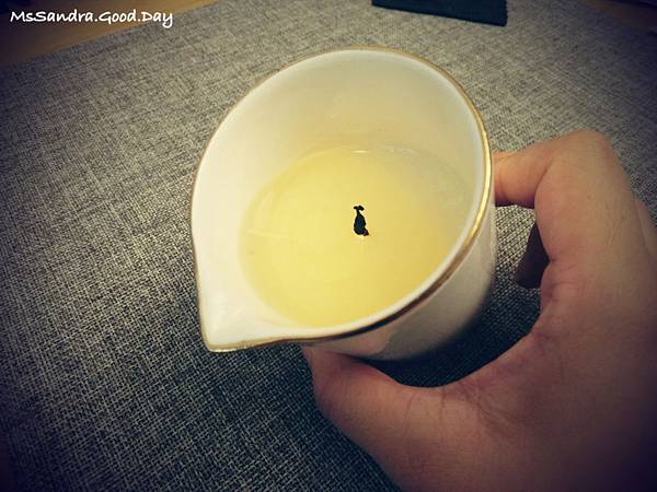 CIMG3606.JPG CIMG3606.JPG