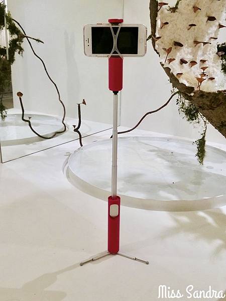 CIMG5278.jpg CIMG5278.jpg