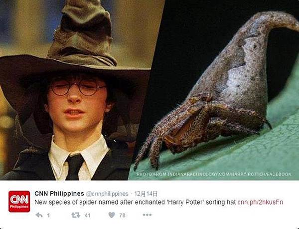 Spider_ Harry Potter_CNN