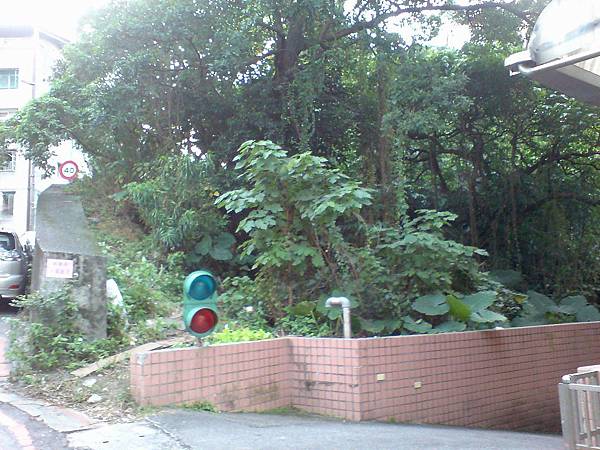 興隆國小斜對面的登山口