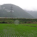 那座電塔真是煞風景