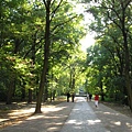 西提爾公園