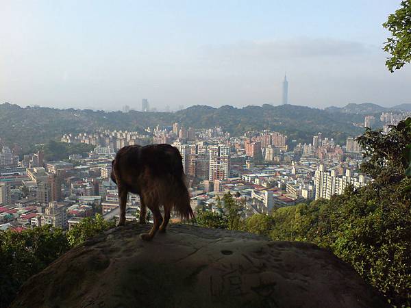好久沒來仙跡岩了