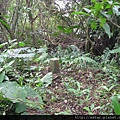 青潭水源 保護區界 55