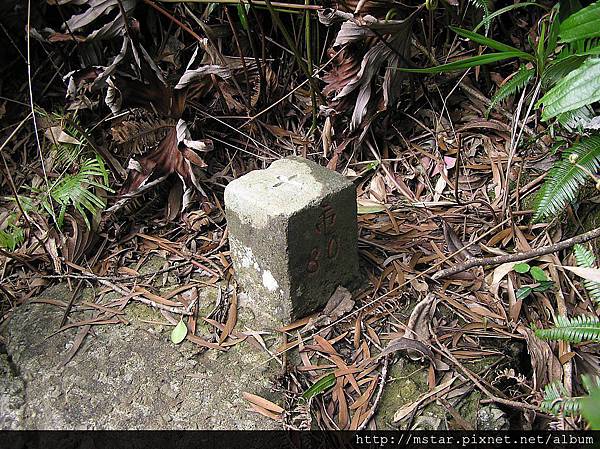 鵝角格山東 480M