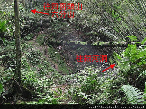 跨楣子寮溪的廢橋