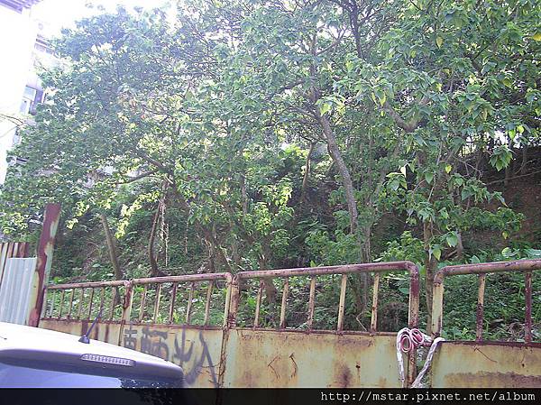 成福公園旁小丘