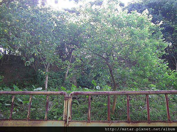 成福公園旁小丘