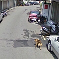 Google Maps 街景