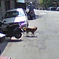 Google Maps 街景