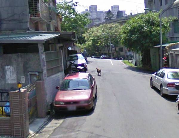 Google Maps 街景