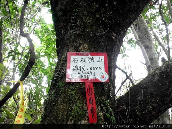 石碇後山 667M