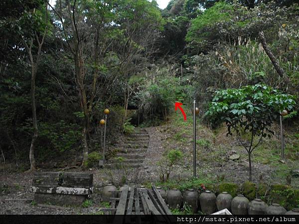 養殖場後面的庭園
