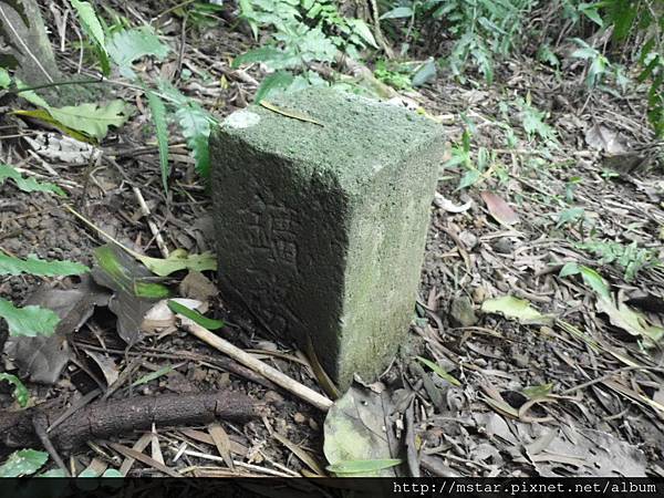 祥光寺後山 195M