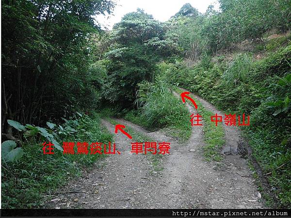 在叉路口停車出發