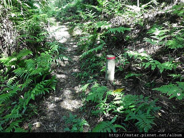 清理地 文二○二四号