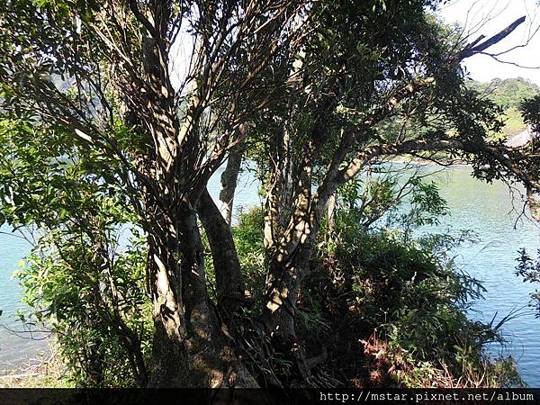 還可再往水邊走