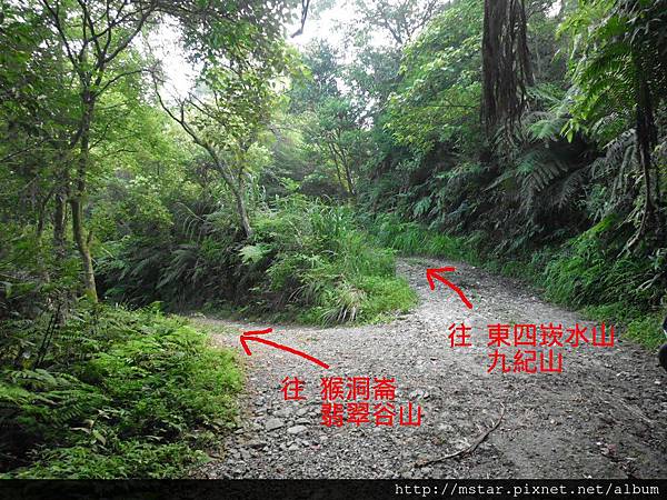 桂山路197巷 桂山路197巷