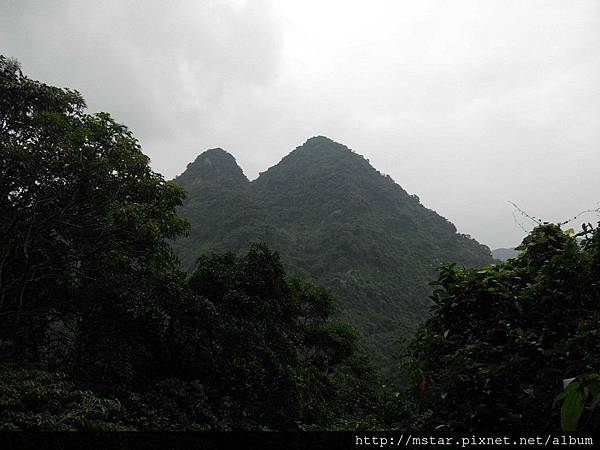 雞心尖的「雙峰」 雞心尖的「雙峰」