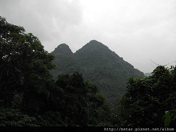 雞心尖的「雙峰」