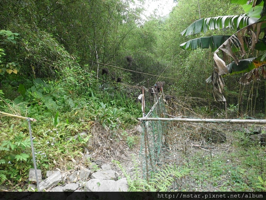 離開山路