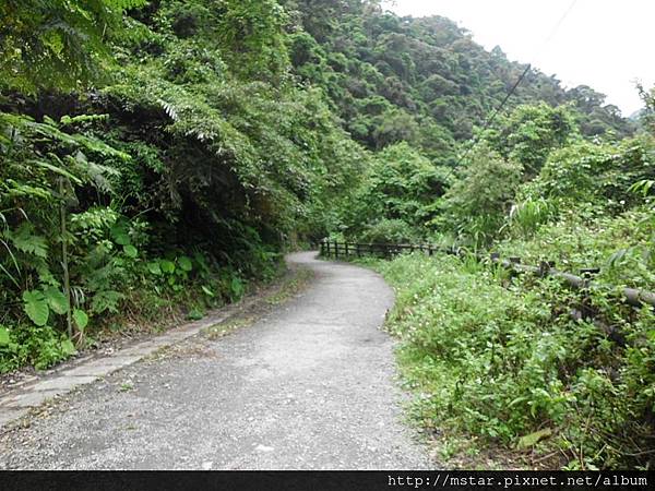 寬敞平緩步道