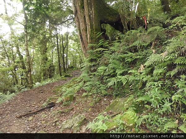 拉拉山登山口