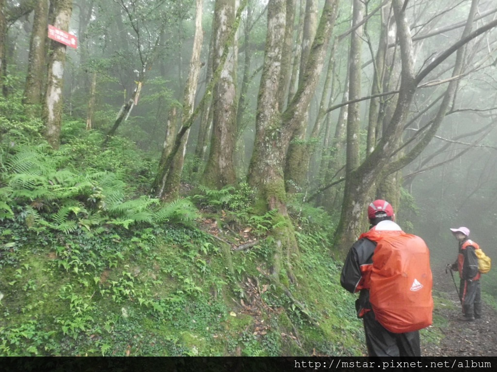 塔曼山登山口