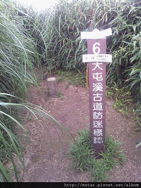 小觀音山西峰 1043M